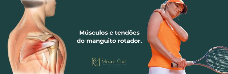 Tendões do Manguito Rotador